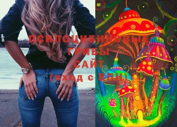 винт Алексеевка