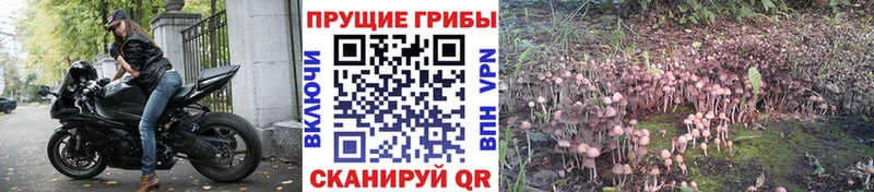 Псилоцибиновые грибы мухоморы  что такое   Пикалёво 